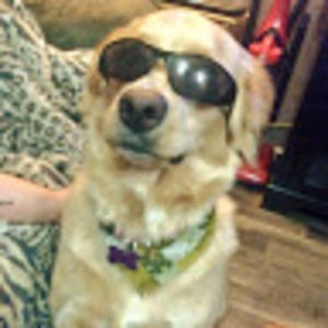 Meet your Posher, Clinton